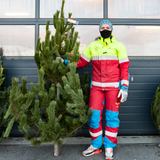 Jólatré - Stafafura